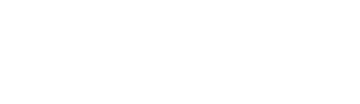 Trivon International 